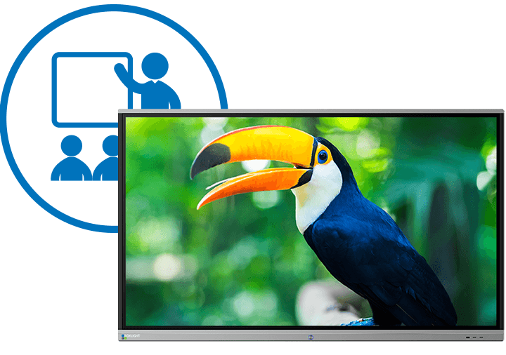 شاشة بوكس لايت 75 بوصة 4K ضد الكسر | BOXLIGHT 4K UHD 75