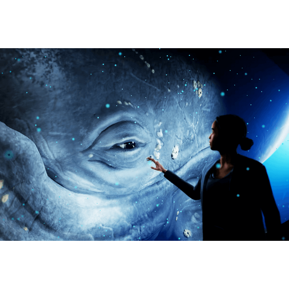 أيجار هولوجرام مسرحي وتنفيذ الحفلات | هولوبوكس | مروحة هولوجرام | هولوجرام هرمي